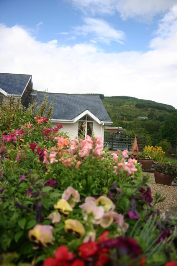 Wicklow Way Lodge Eksteriør bilde