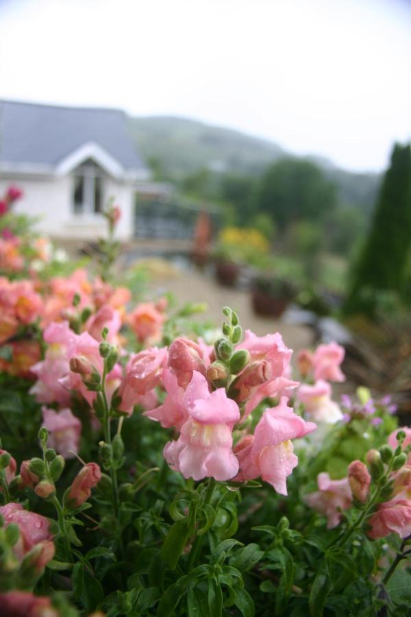 Wicklow Way Lodge Eksteriør bilde